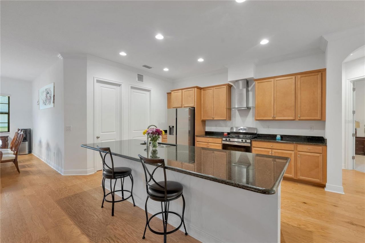 3908 Gaviota Drive, Sun City Center, FL 33573 Photo