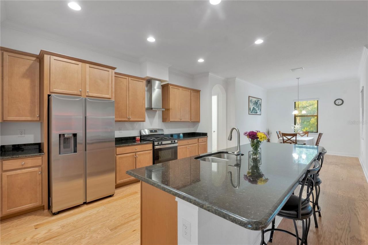 3908 Gaviota Drive, Sun City Center, FL 33573 Photo