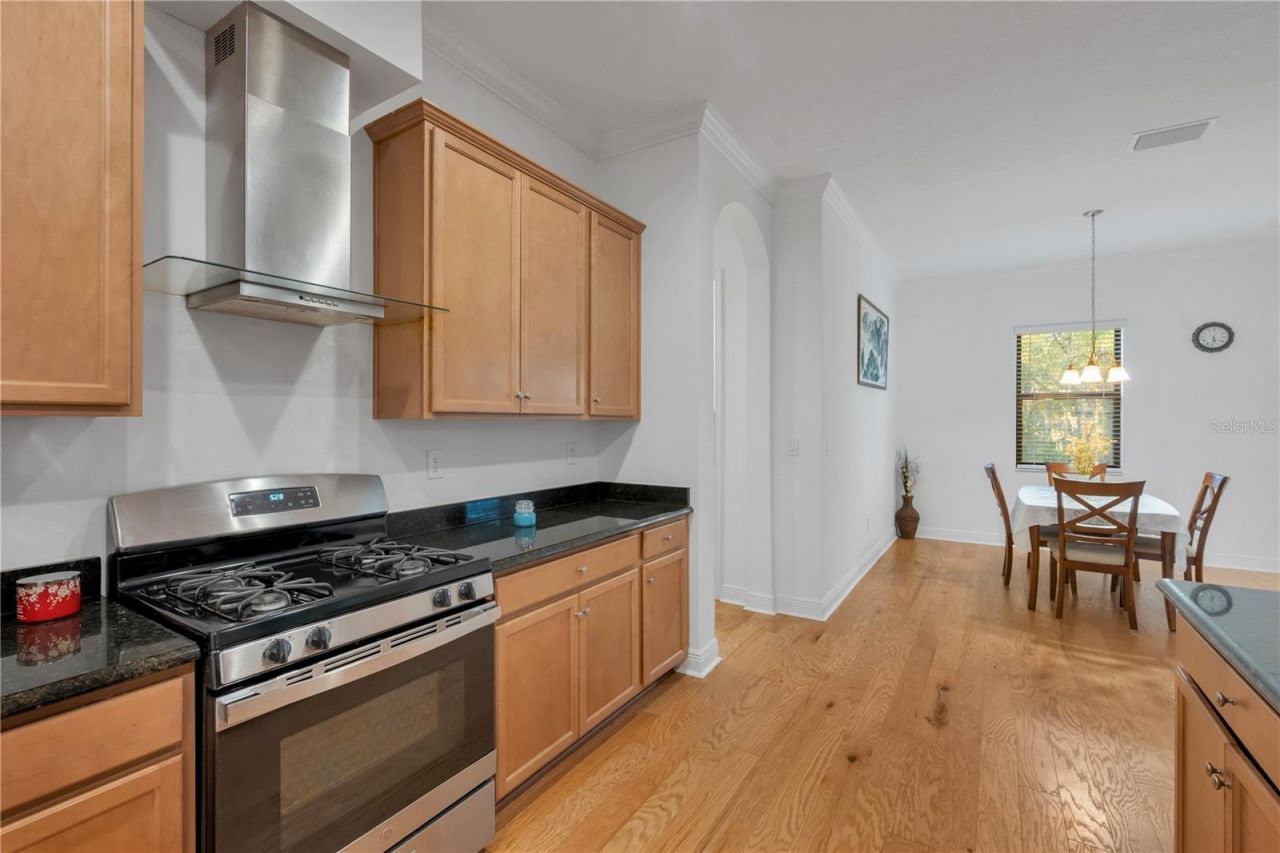 3908 Gaviota Drive, Sun City Center, FL 33573 Photo