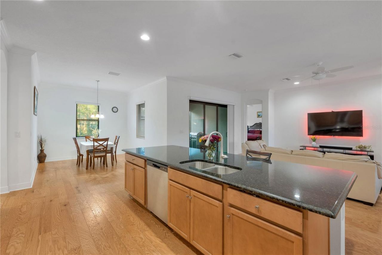 3908 Gaviota Drive, Sun City Center, FL 33573 Photo