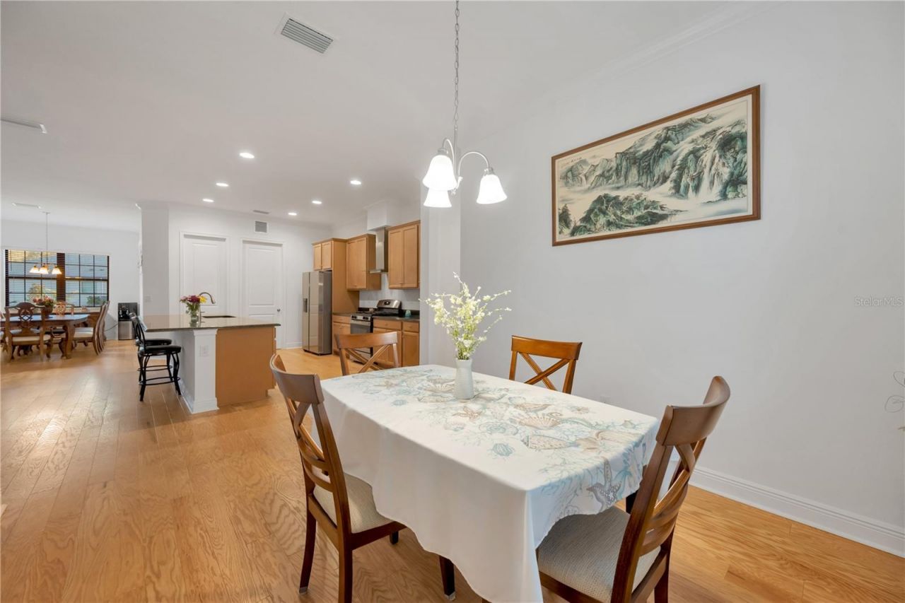 3908 Gaviota Drive, Sun City Center, FL 33573 Photo