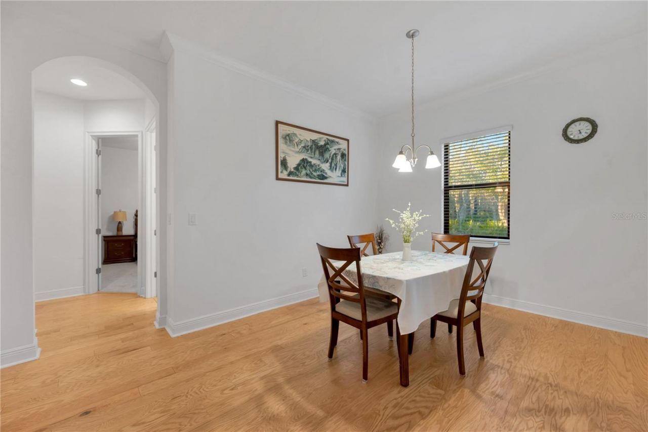 3908 Gaviota Drive, Sun City Center, FL 33573 Photo