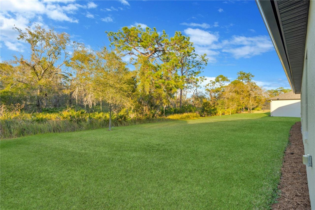 3908 Gaviota Drive, Sun City Center, FL 33573 Photo