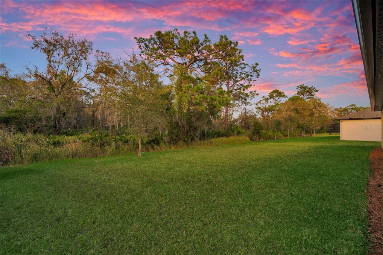 3908 Gaviota Drive, Sun City Center, FL 33573 Photo
