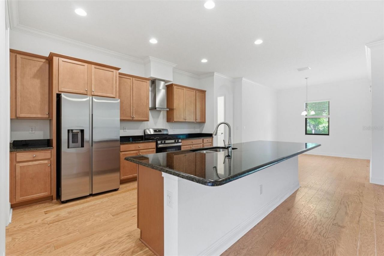 3908 Gaviota Drive, Sun City Center, FL 33573 Photo