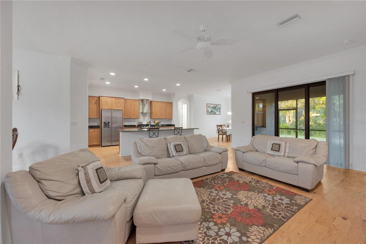 3908 Gaviota Drive, Sun City Center, FL 33573 Photo