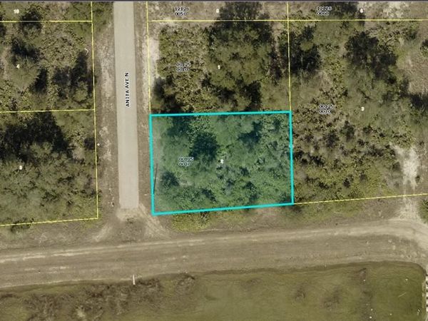 6000 ANITA AVENUE N, LEHIGH ACRES, FL 33971