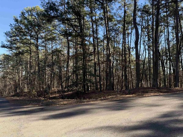 48 La Palabra Way, Hot Springs Village, AR 71909