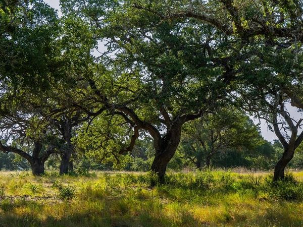 Lot 8 Tuscany DR, Driftwood, TX 78619