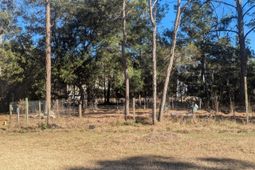 2134 Mcneil Washington Road photo 4