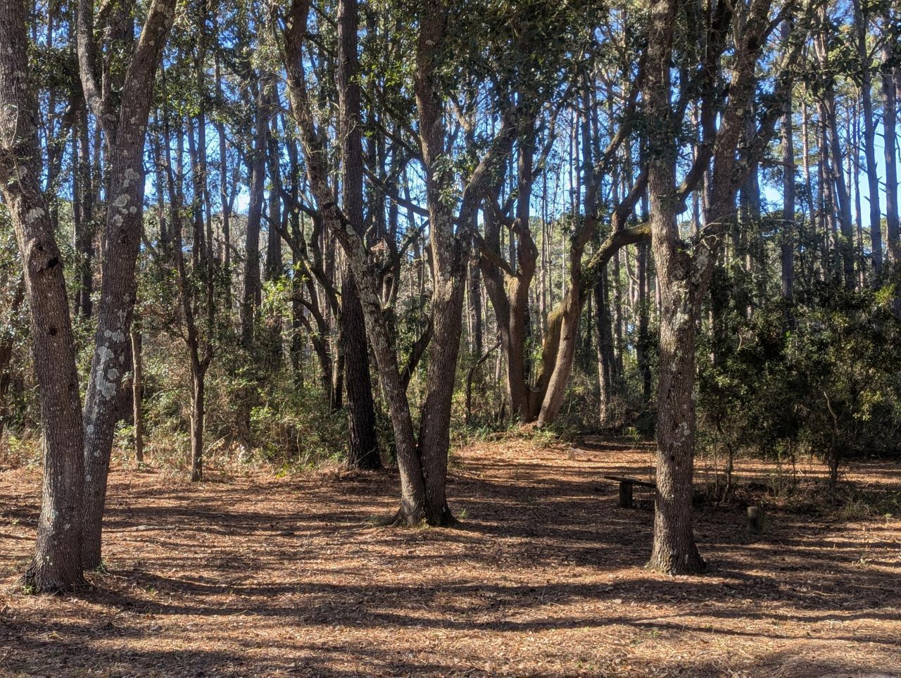 2134 Mcneil Washington Road Photo 4