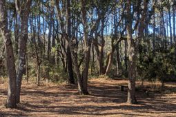 2134 Mcneil Washington Road photo 4