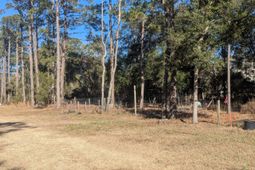 2134 Mcneil Washington Road photo 4