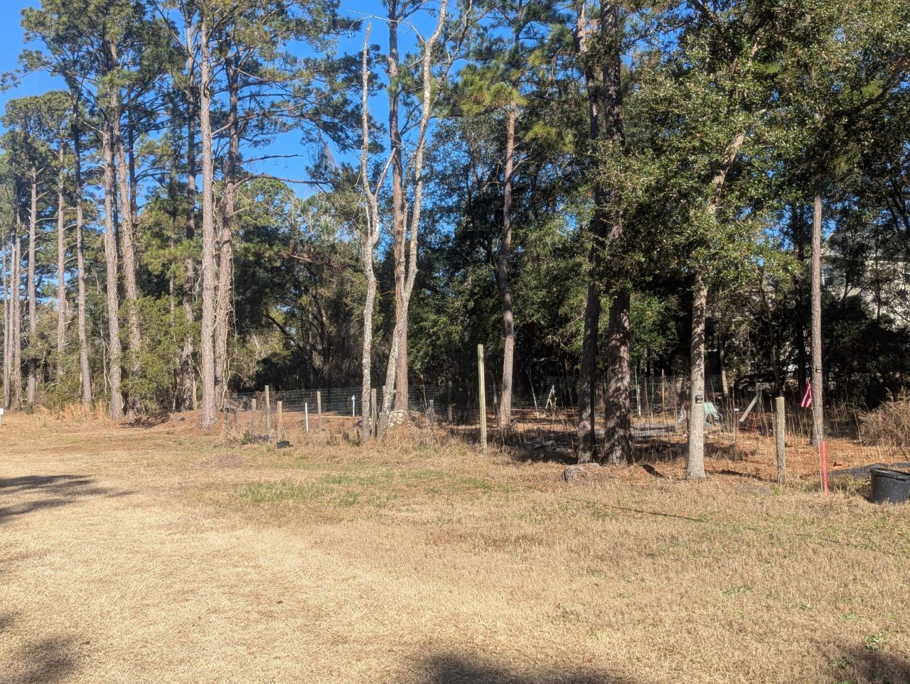 2134 Mcneil Washington Road Photo 6