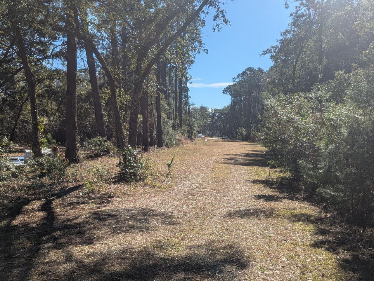 2134 Mcneil Washington Road Photo 7