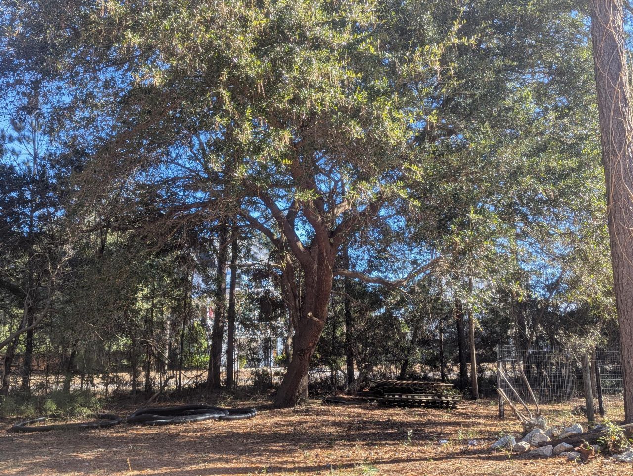 2134 Mcneil Washington Road Photo 8