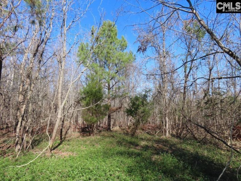 0 Cook Road  Photo 10