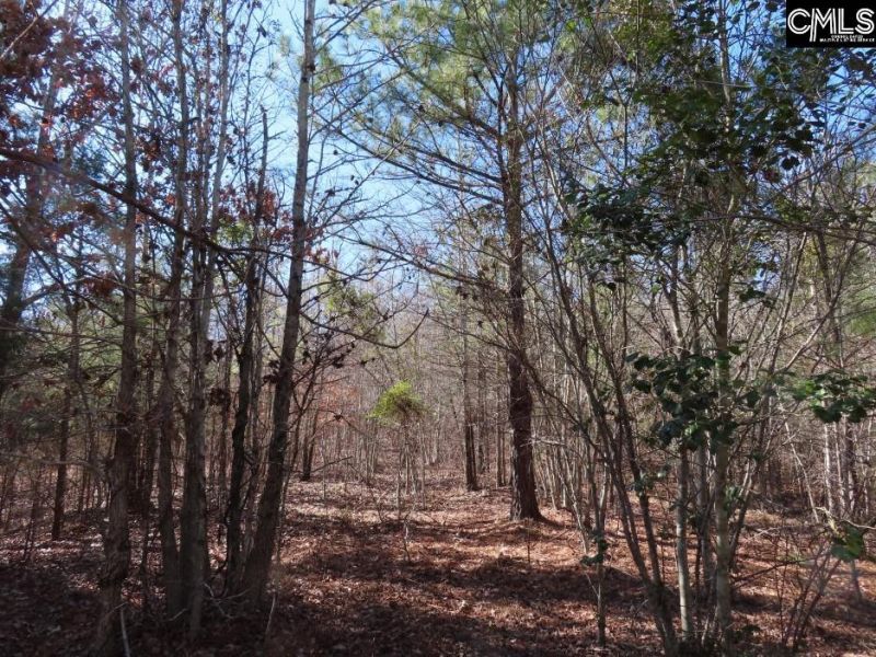 0 Cook Road  Photo 13