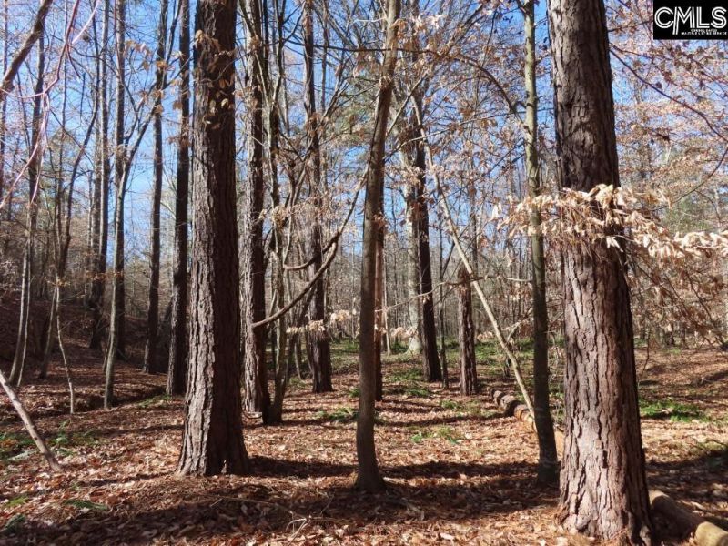 0 Cook Road  Photo 16