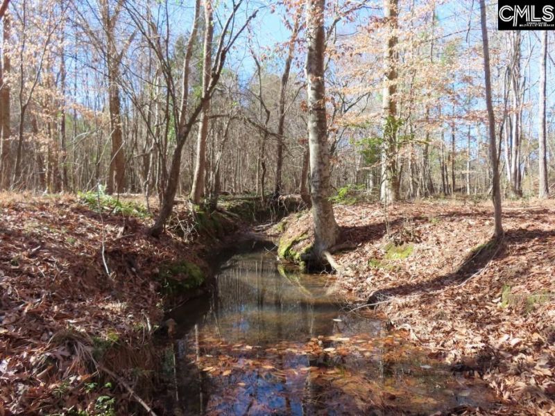 0 Cook Road  Photo 18