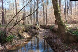 0 Cook Road  photo 4