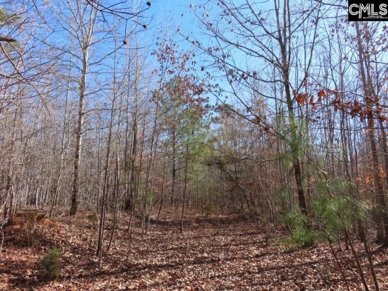 0 Cook Road  Photo 21