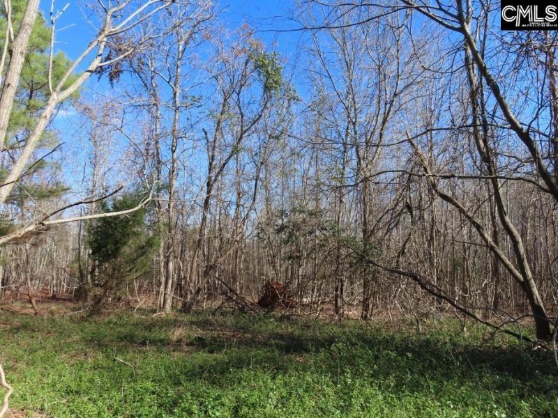 0 Cook Road  Photo 24