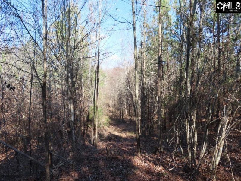 0 Cook Road  Photo 27