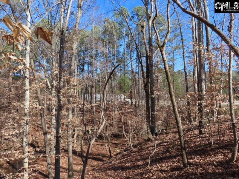 0 Cook Road  Photo 29