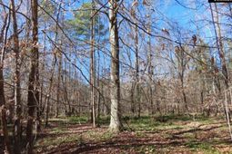 0 Cook Road  photo 4