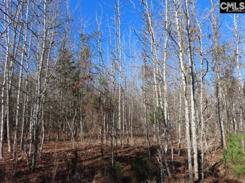 0 Cook Road  Photo 32