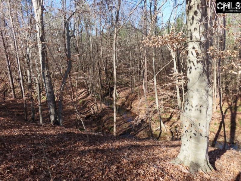 0 Cook Road  Photo 33