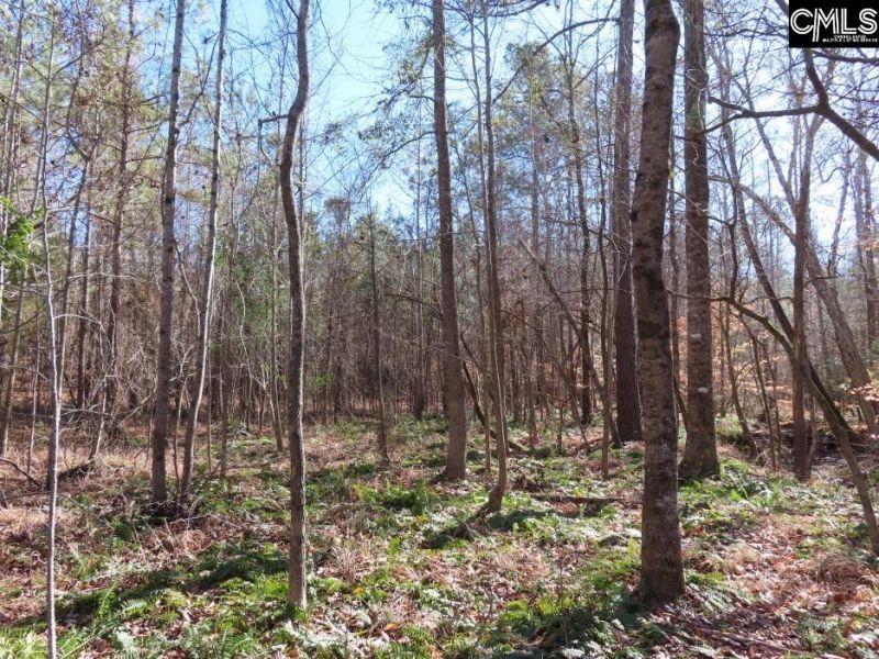 0 Cook Road  Photo 36