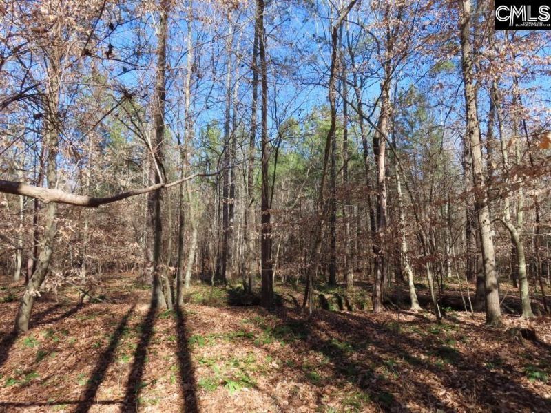 0 Cook Road  Photo 38