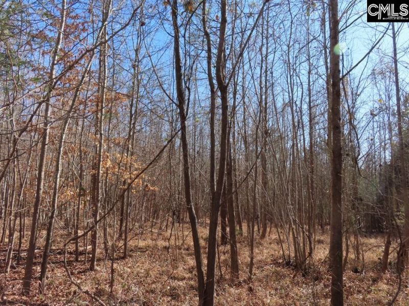 0 Cook Road  Photo 39