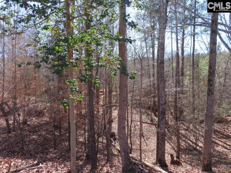 0 Cook Road  Photo 41