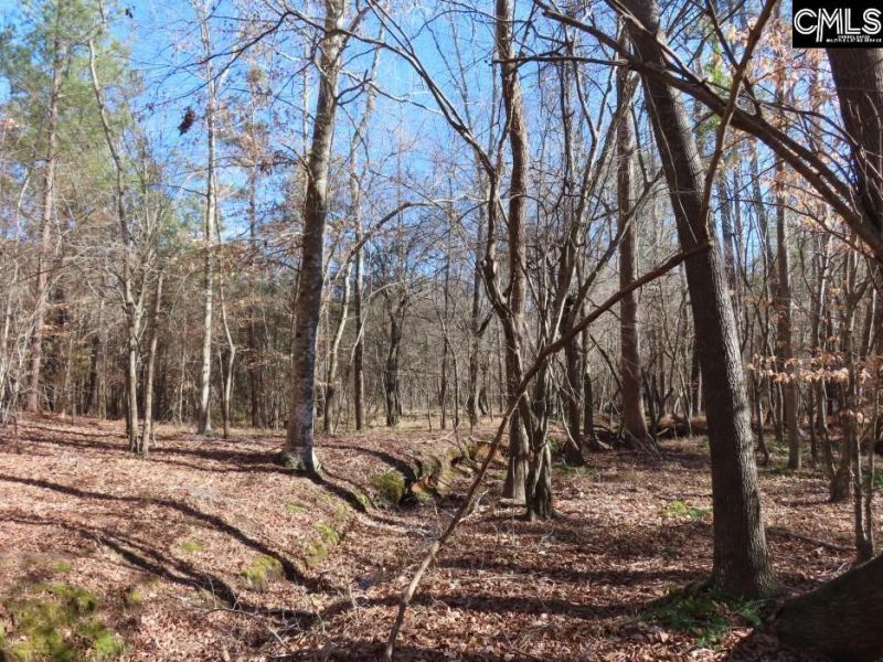 0 Cook Road  Photo 42