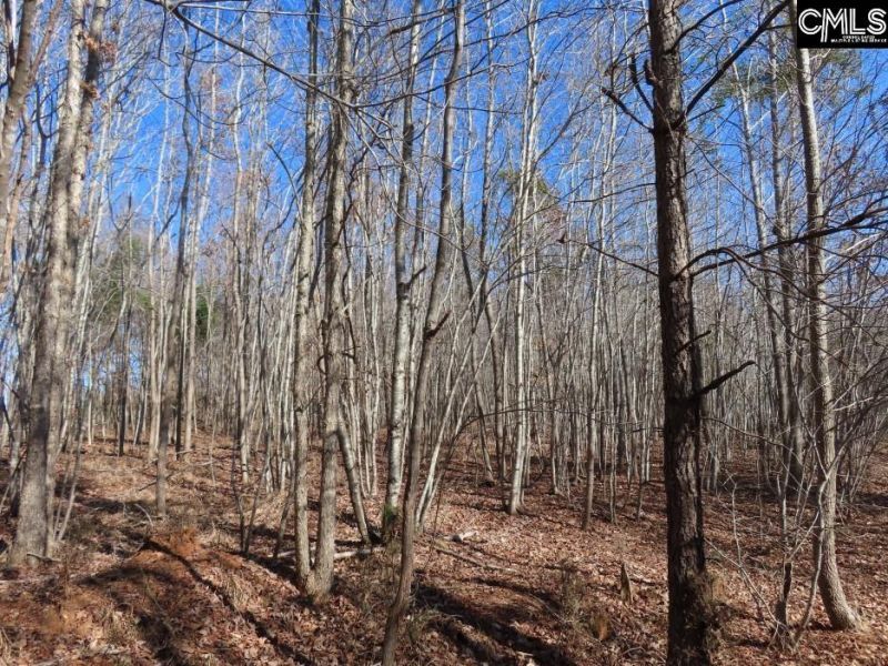 0 Cook Road  Photo 44