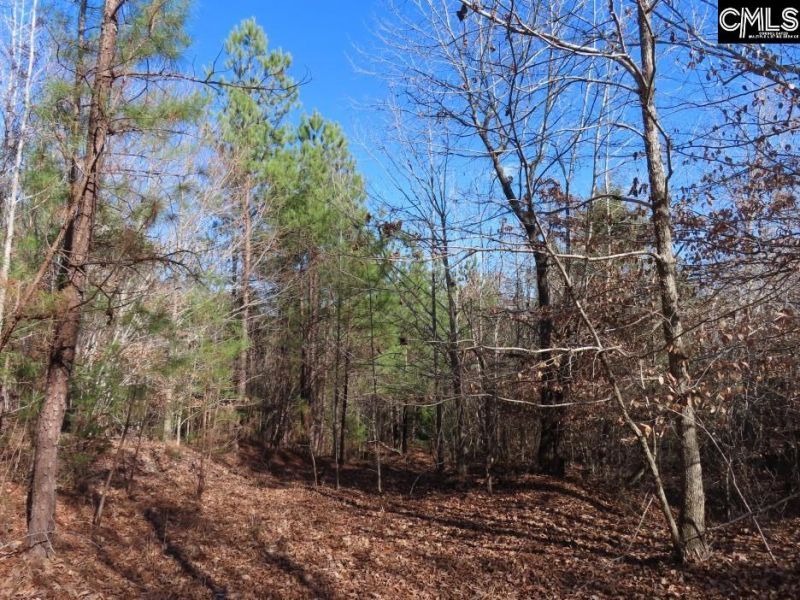 0 Cook Road  Photo 45