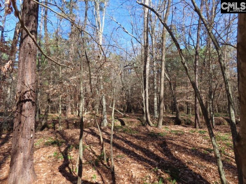 0 Cook Road  Photo 47