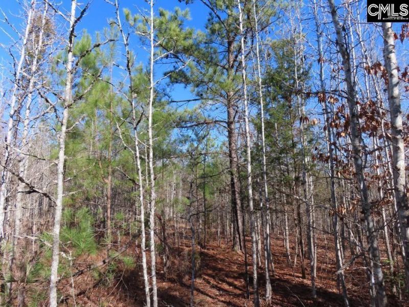 0 Cook Road  Photo 48