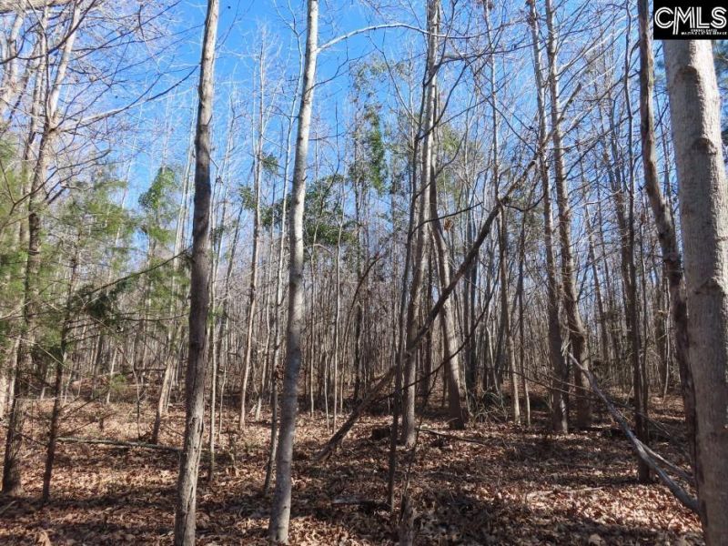 0 Cook Road  Photo 51