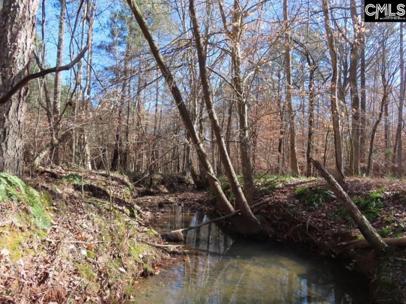 0 Cook Road  Photo 6