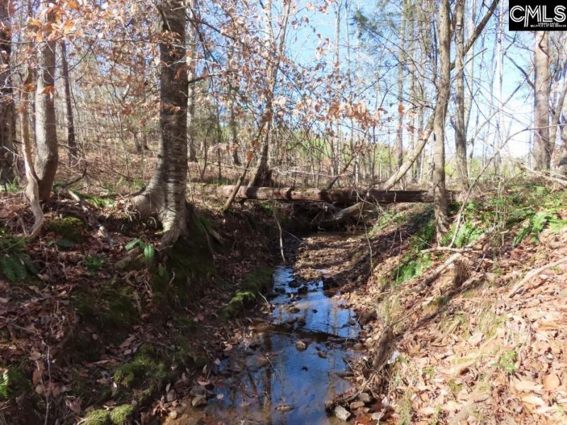 0 Cook Road  Photo 9