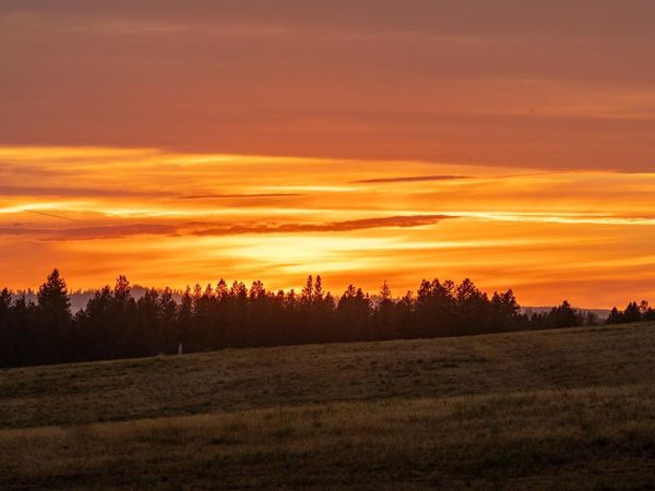 10900 S Silver Hill Rd, Spokane, WA 99223