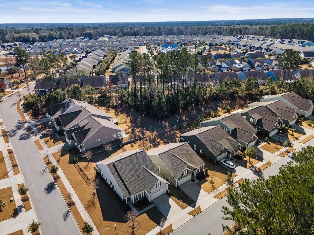 5094 Song Sparrow Way Photo 52