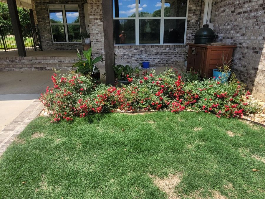 Property Image 50