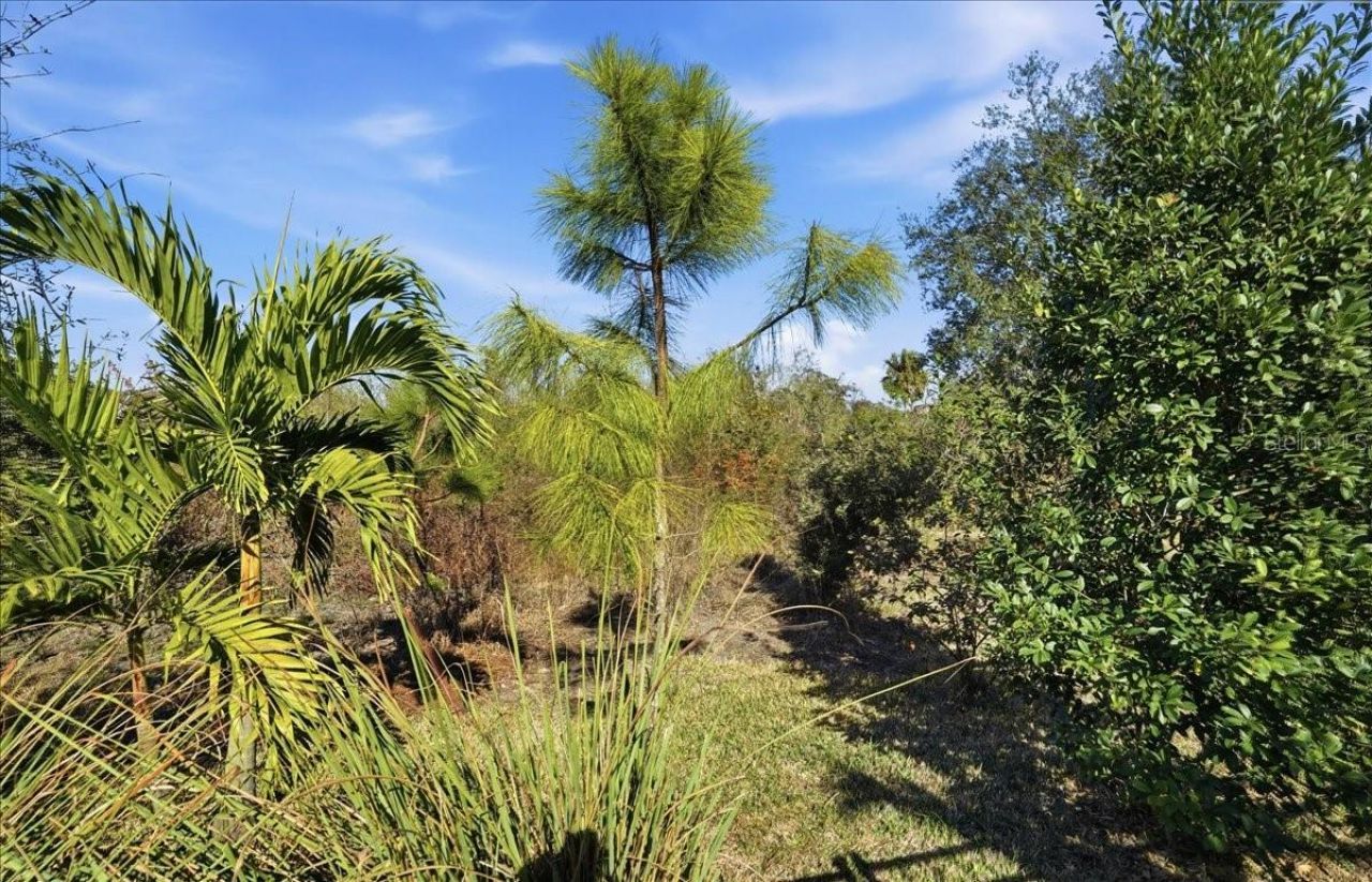 5422 Morey Farms Loop, Palmetto, FL 34221 Photo