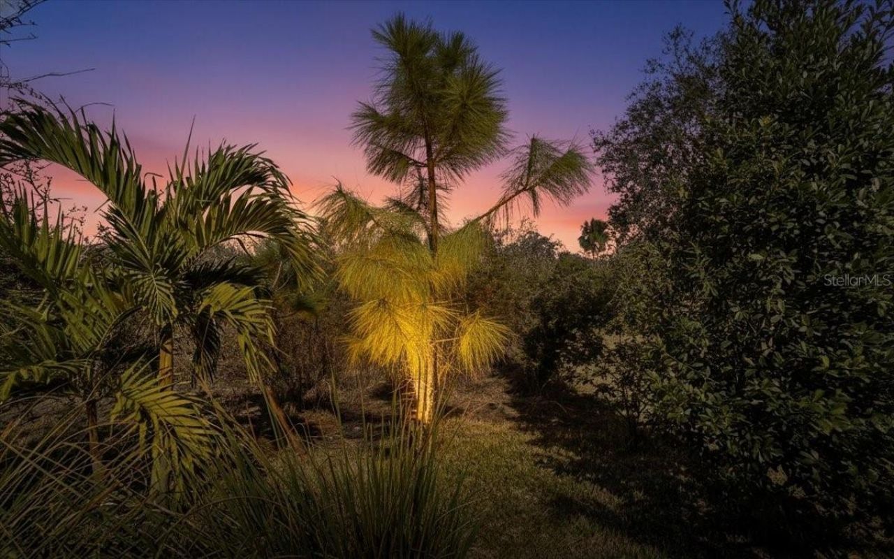 5422 Morey Farms Loop, Palmetto, FL 34221 Photo