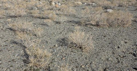 209 Pamela Drive, Walker Lake, NV 89415 Photo